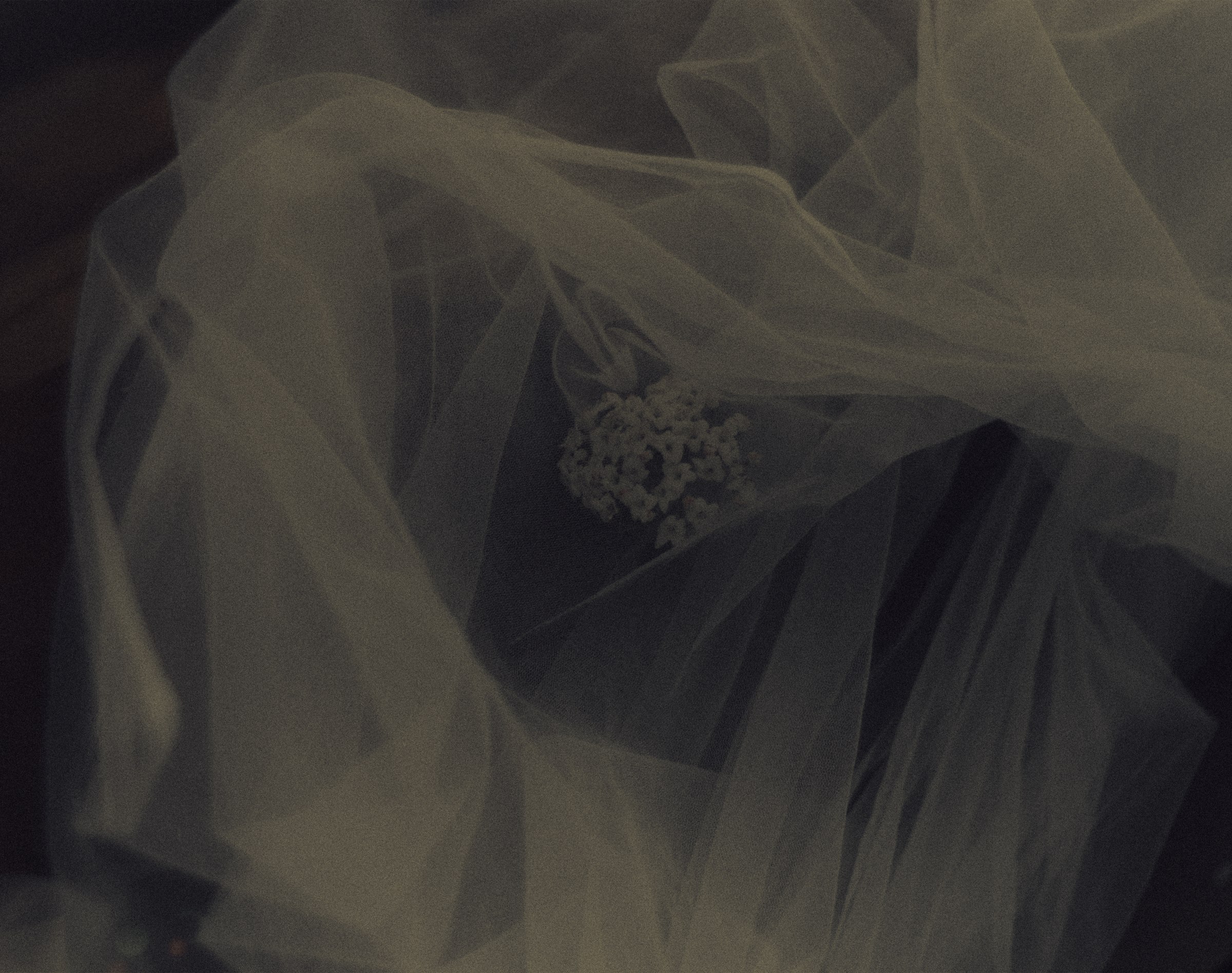 Portrait beneath a translucent veil