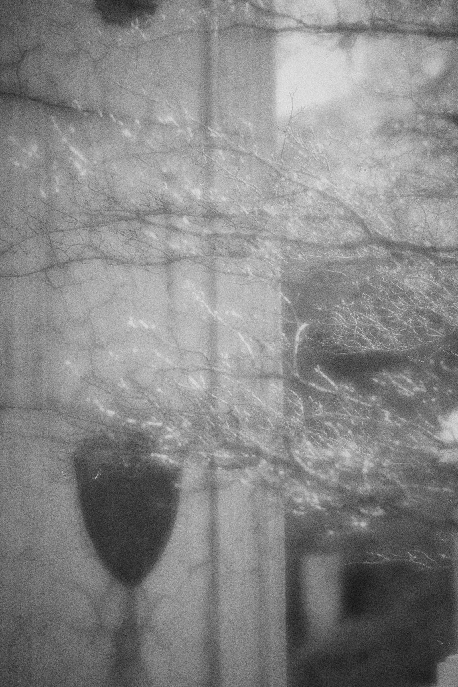Soft-focus architectural facade