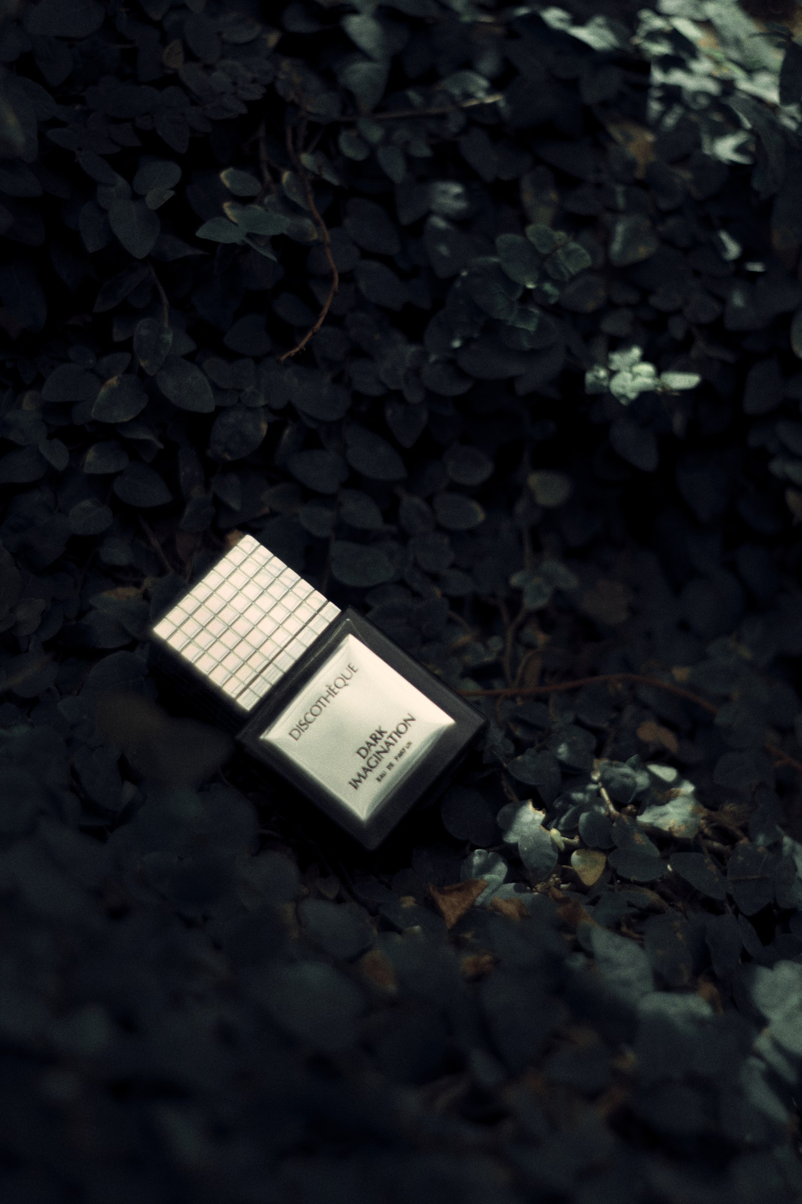 Perfume bottle among dark leaves